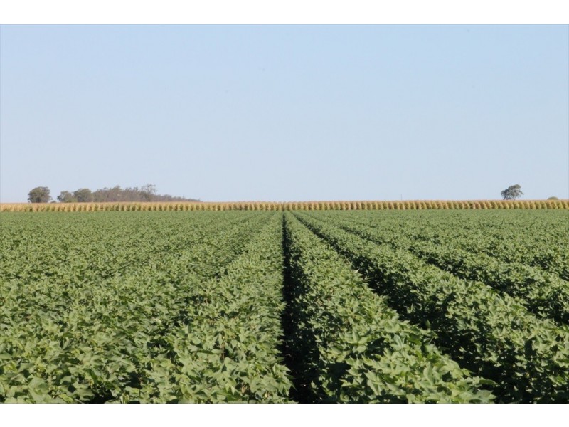Dalby QLD 4405