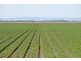 Dalby QLD 4405