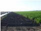 Dalby QLD 4405