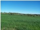 Woleebee QLD 4419