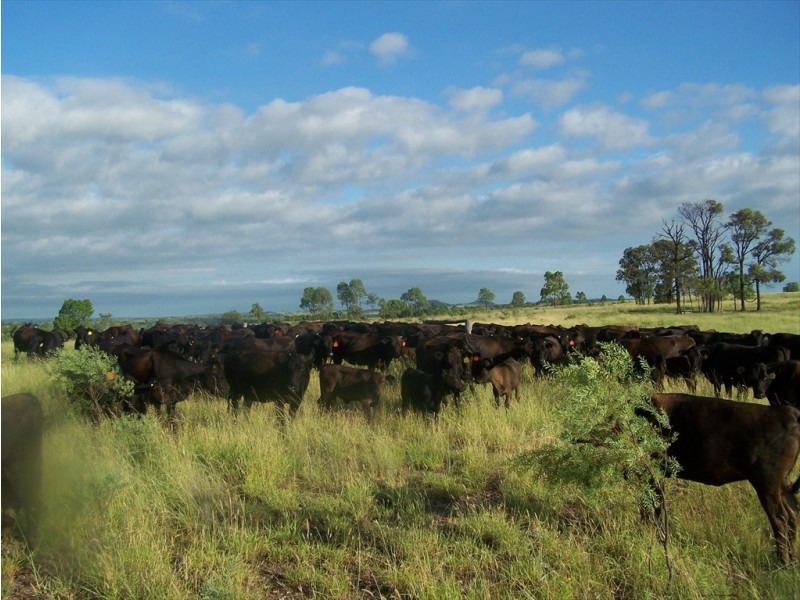 Woleebee QLD 4419