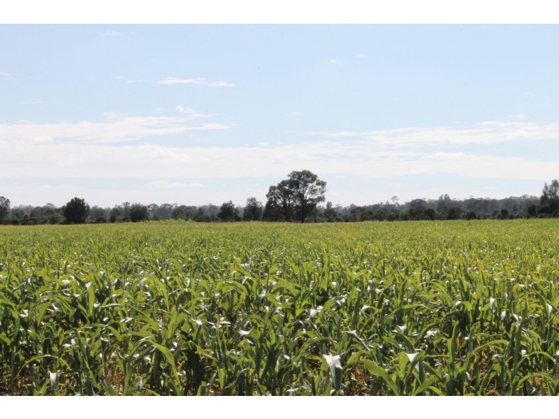 Hannaford QLD 4406