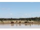 Hannaford QLD 4406