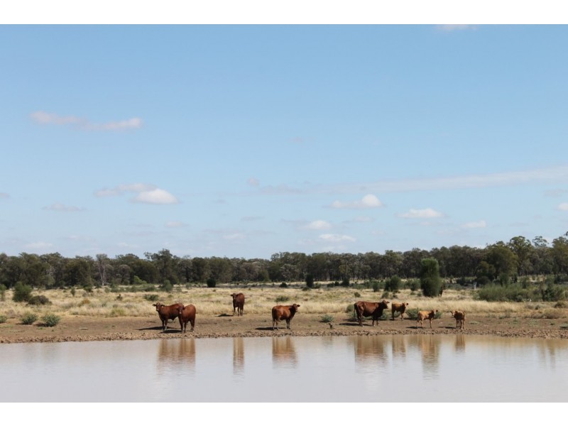 Hannaford QLD 4406