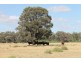 Hannaford QLD 4406