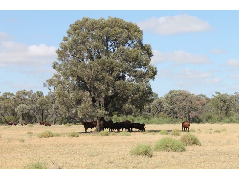 Hannaford QLD 4406