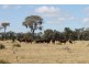 Hannaford QLD 4406