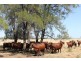 Hannaford QLD 4406