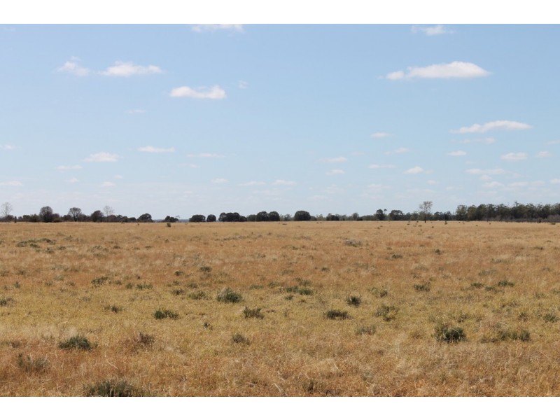 Hannaford QLD 4406