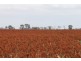 Bowenville QLD 4404