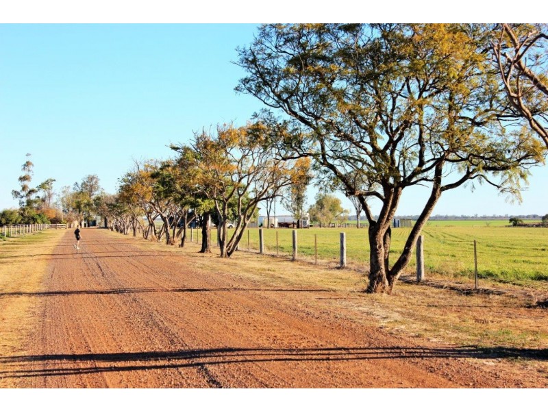 Springfield – Warrego Highway, Dalby QLD 4405