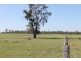 Tara QLD 4421