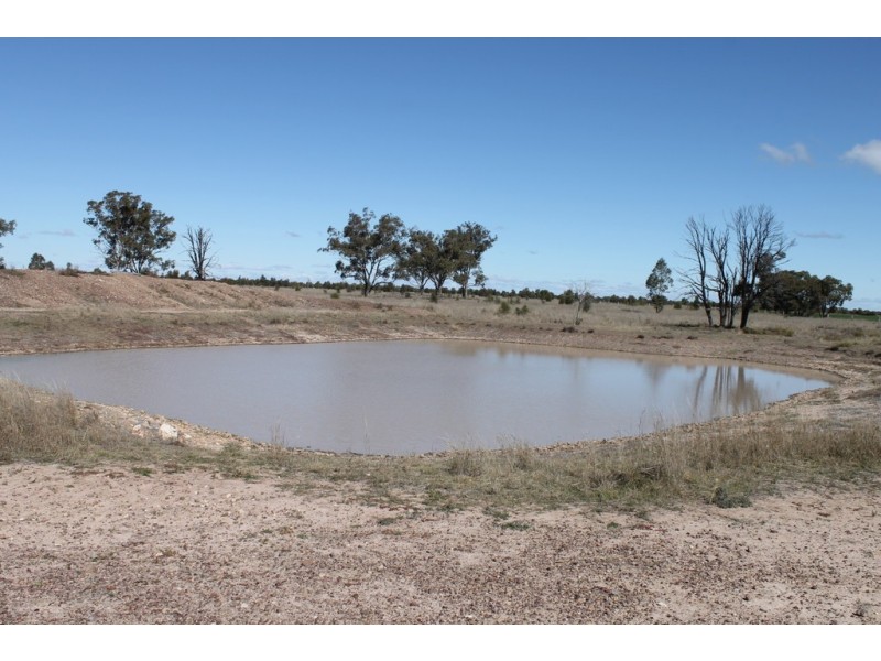 Tara QLD 4421