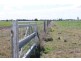 Tara QLD 4421