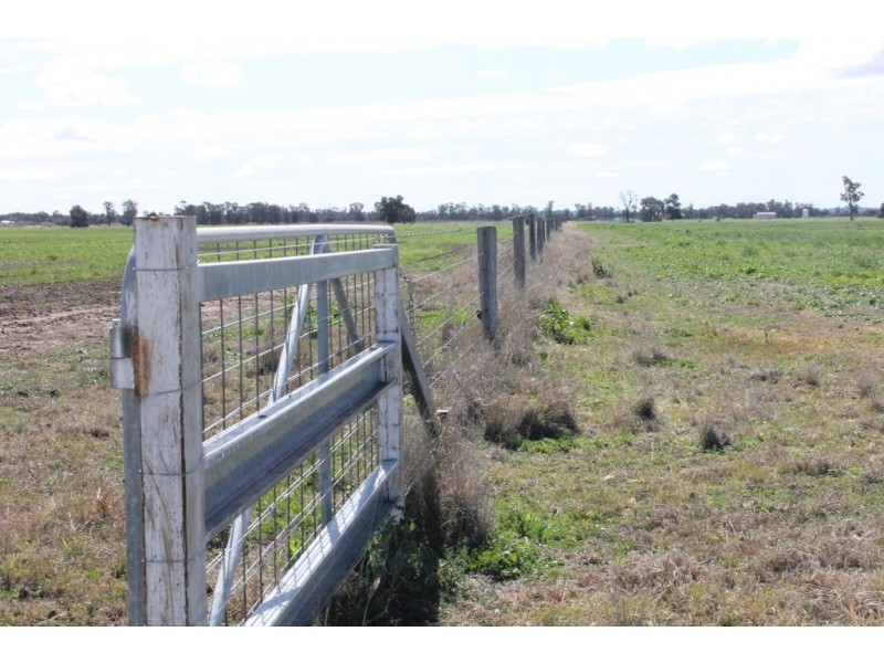 Tara QLD 4421