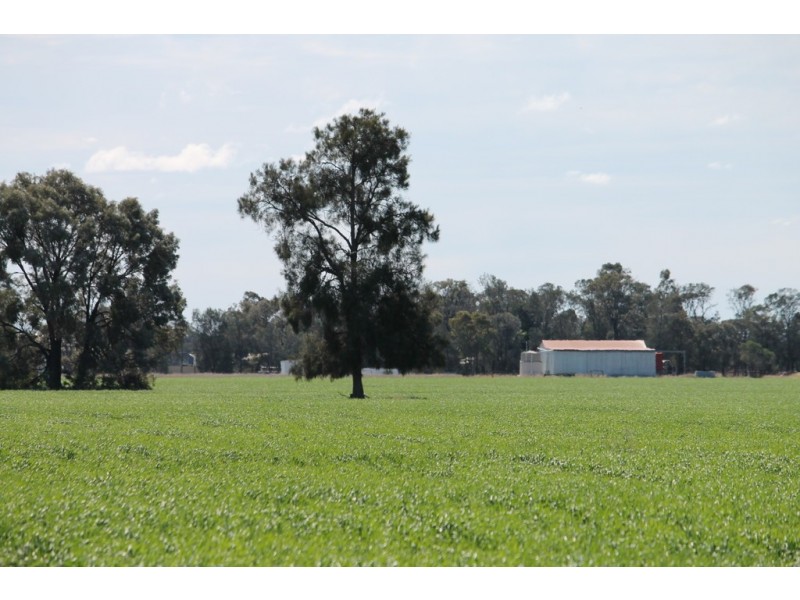 Tara QLD 4421