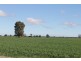 Tara QLD 4421