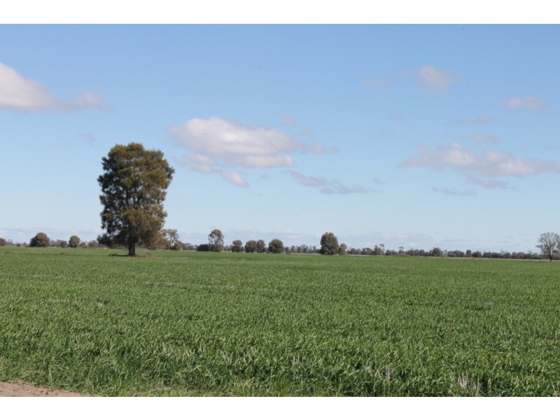 Tara QLD 4421