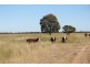 Canaga QLD 4413