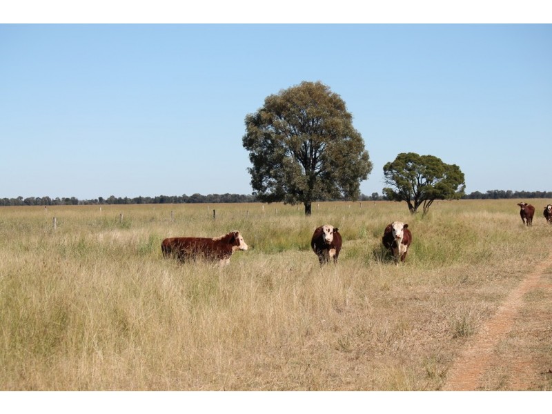 Canaga QLD 4413