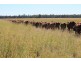 Canaga QLD 4413