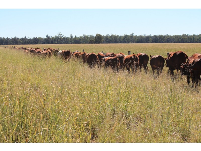 Canaga QLD 4413
