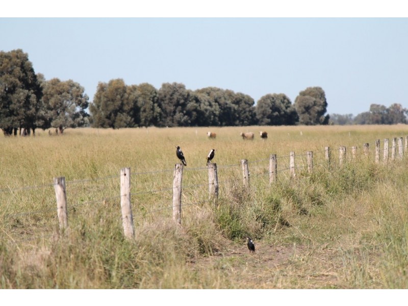 Canaga QLD 4413