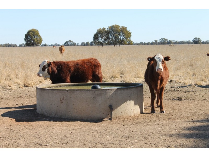 Canaga QLD 4413