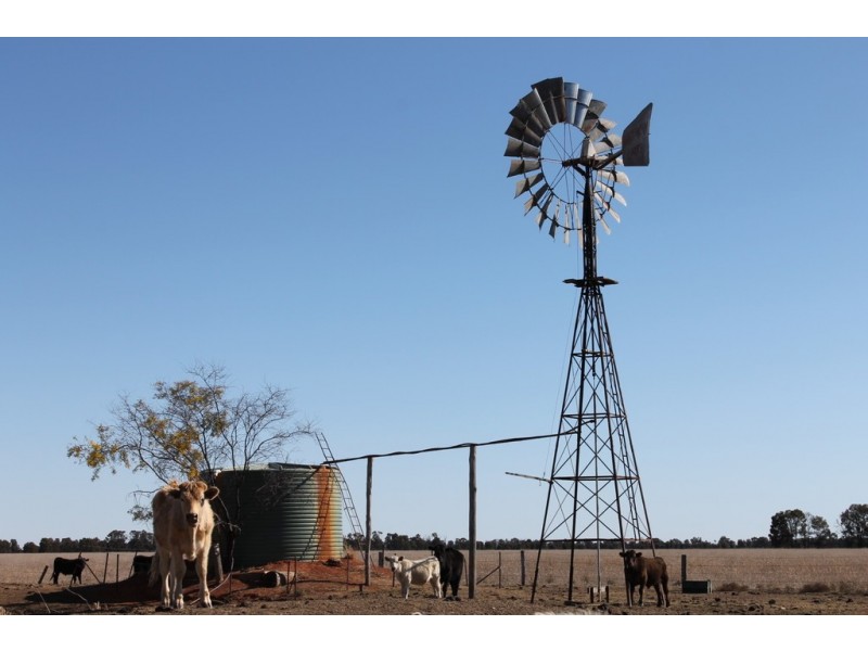 Canaga QLD 4413
