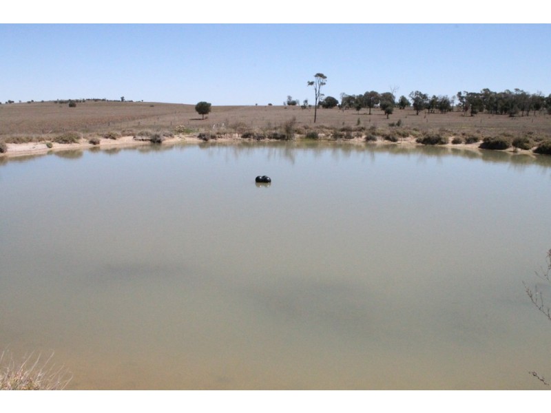 Wandoan QLD 4419