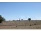 Wandoan QLD 4419