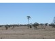 Wandoan QLD 4419