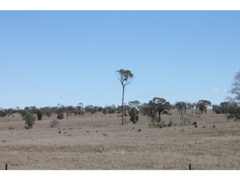 Wandoan QLD 4419