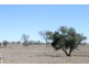 Wandoan QLD 4419