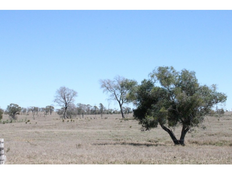 Wandoan QLD 4419