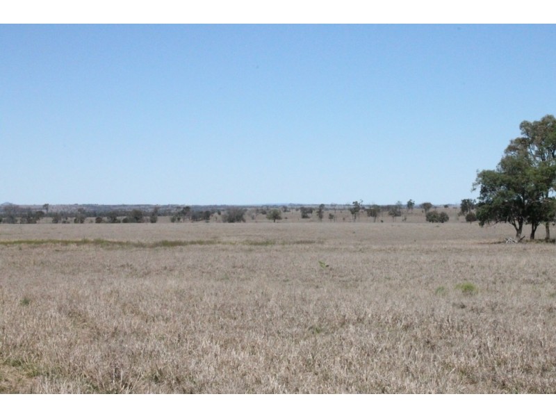 Wandoan QLD 4419