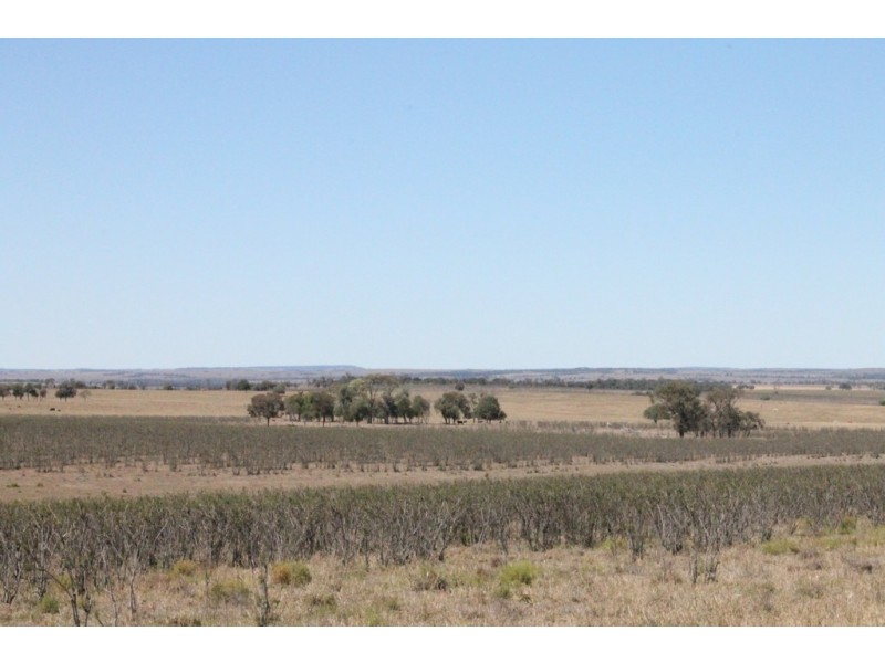 Wandoan QLD 4419