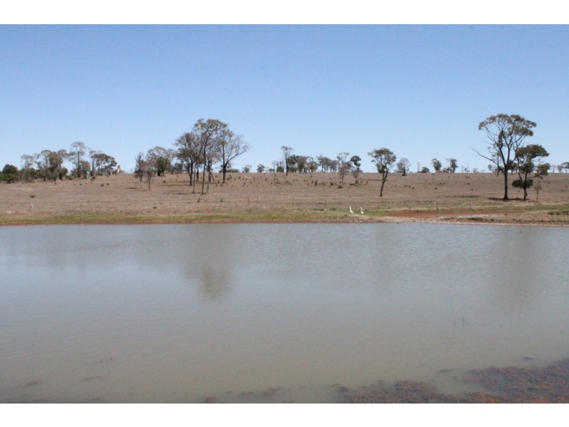 Wandoan QLD 4419