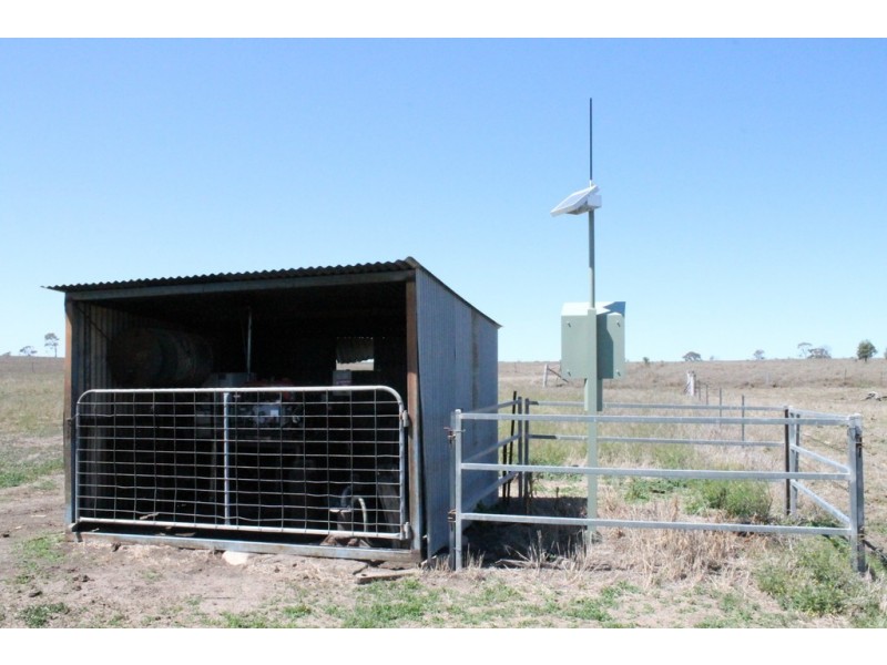 Wandoan QLD 4419