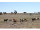 Wandoan QLD 4419