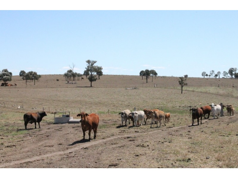Wandoan QLD 4419