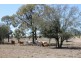 Wandoan QLD 4419