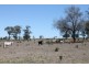 Wandoan QLD 4419