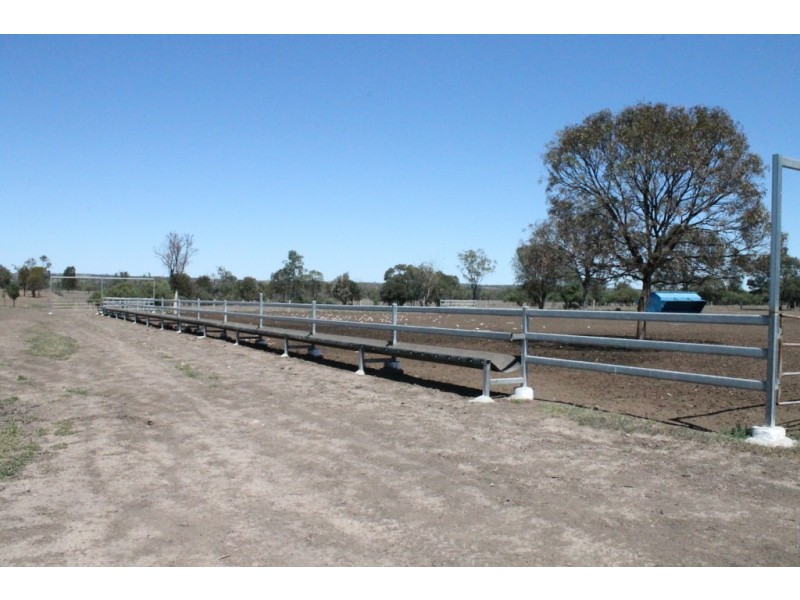 Wandoan QLD 4419