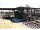 Wandoan QLD 4419