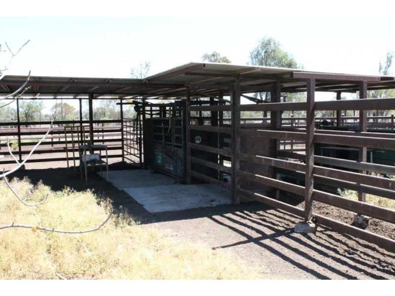 Wandoan QLD 4419