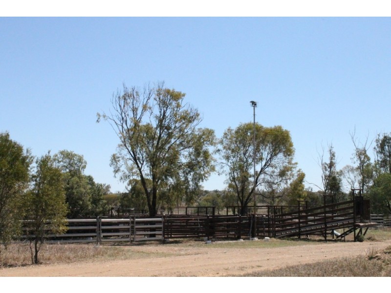 Wandoan QLD 4419