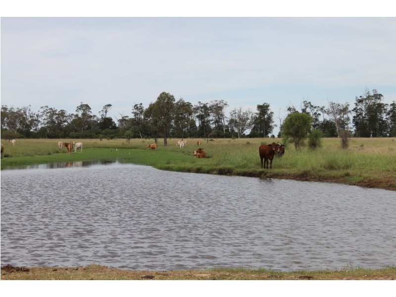 Yulabilla QLD 4416