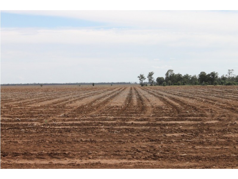 Yulabilla QLD 4416