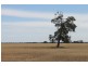 Yulabilla QLD 4416